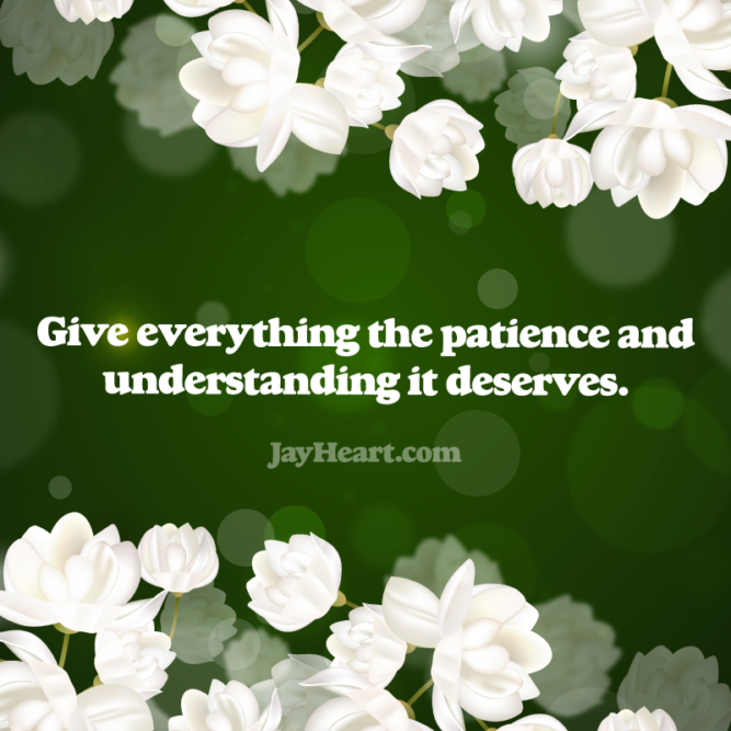 Give everything the patience and understanding it deserves.